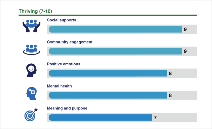Wireframe of BellAge Screenshot of results of the Wellness Assessment